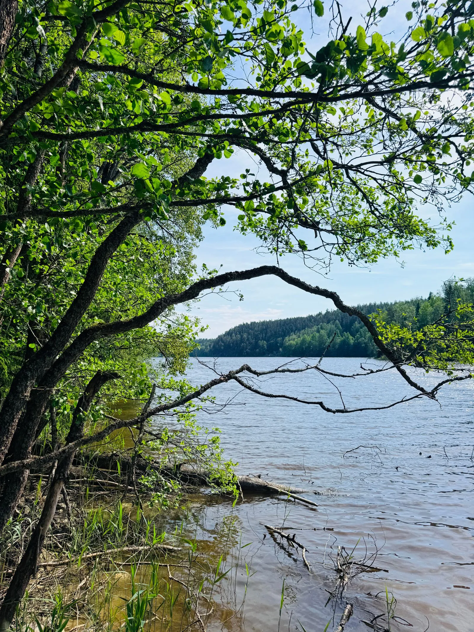 Savonlinnan rantamaisema